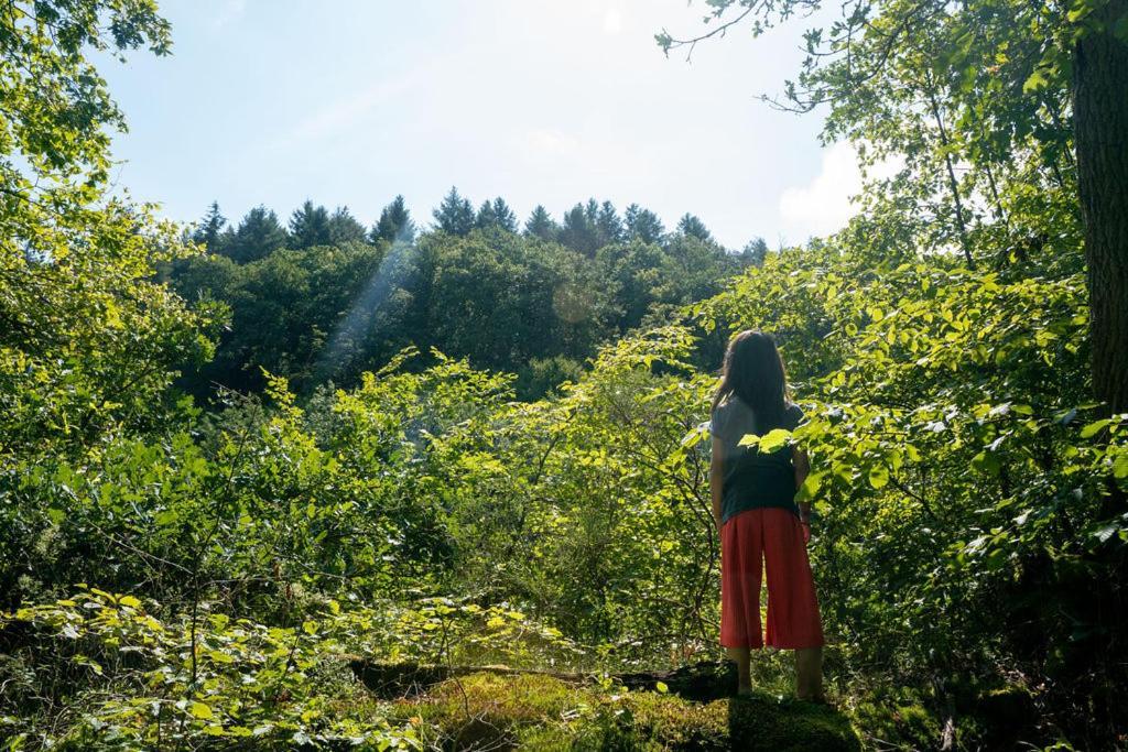 Camping Bockenauer Schweiz Bagian luar foto
