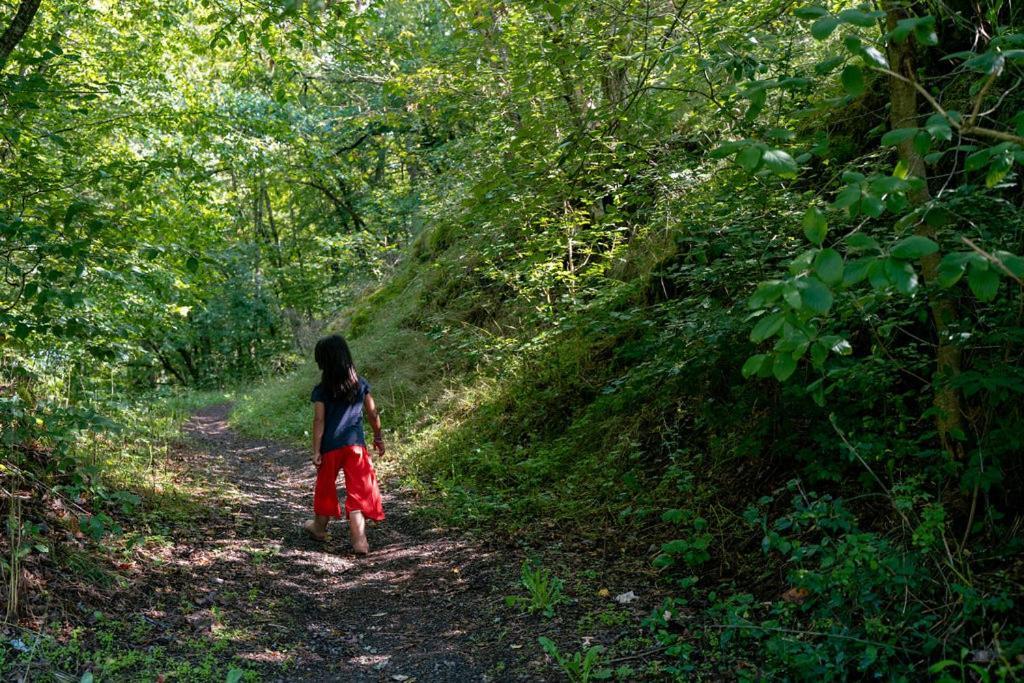 Camping Bockenauer Schweiz Bagian luar foto